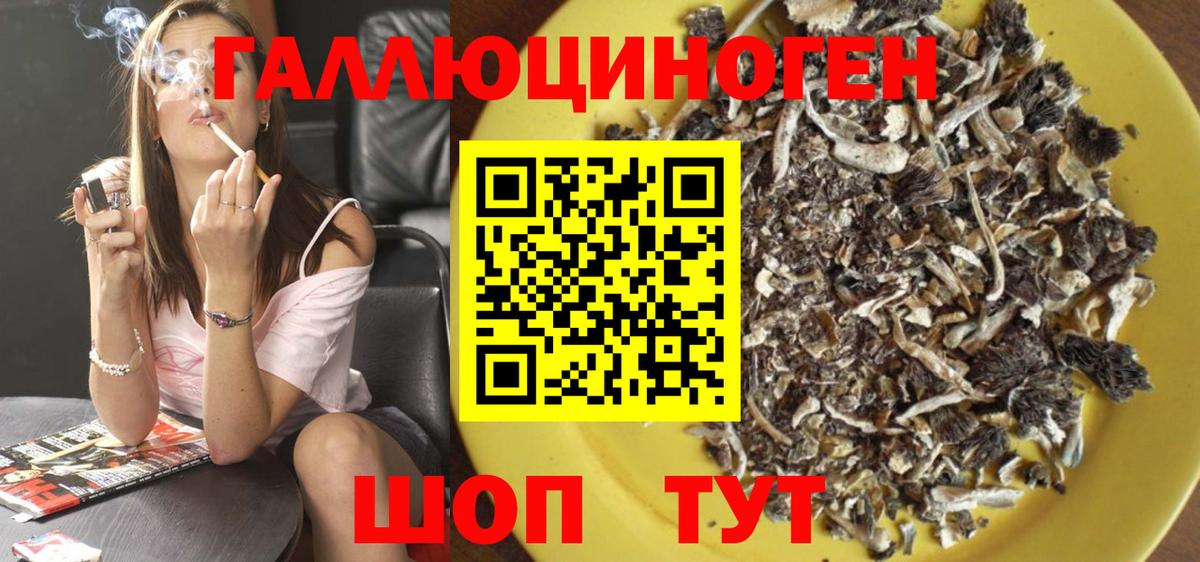 Псилоцибиновые грибы GOLDEN TEACHER Петропавловск-Камчатский