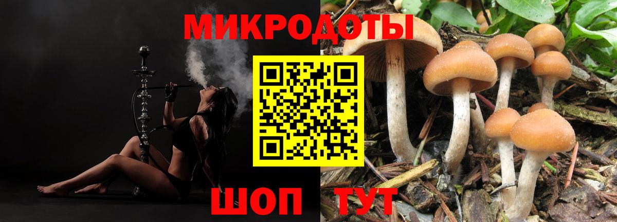 Галлюциногенные грибы Psilocybine cubensis  Галлюциногенные грибы ЛСД  Вход с VPN  Петропавловск-Камчатский 